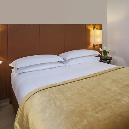 Hotel Starhotels Michelangelo 4*